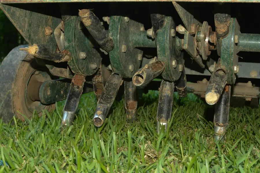 Signs Your Lawn Needs Aeration Services in Montgomery, AL
